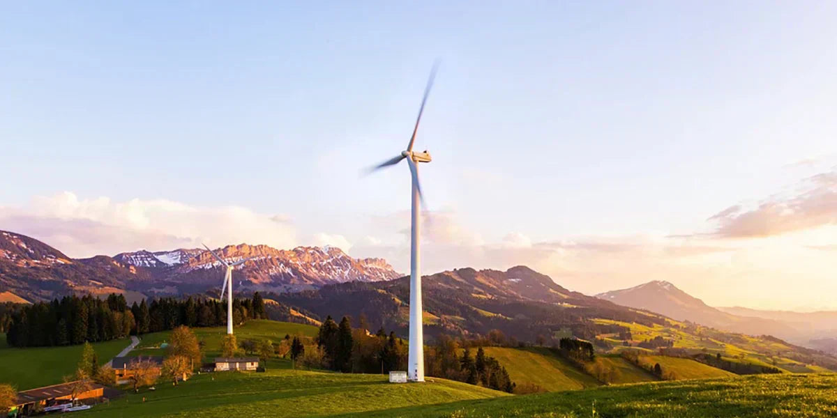 Eco-Friendly Trends Report: Spring Edition