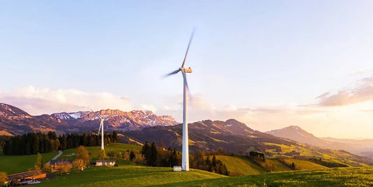 Eco-Friendly Trends Report: Spring Edition