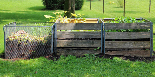 Infographic: A Month-by-Month Green Living Guide