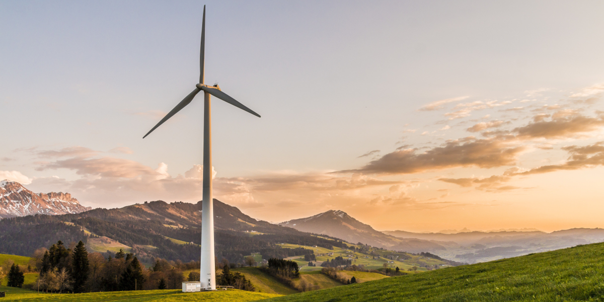 The 4 Biggest Eco-Trends
