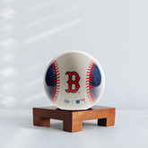 MLB® CUBS™ GLOBE ( Region Limit)  - movaglobes.store