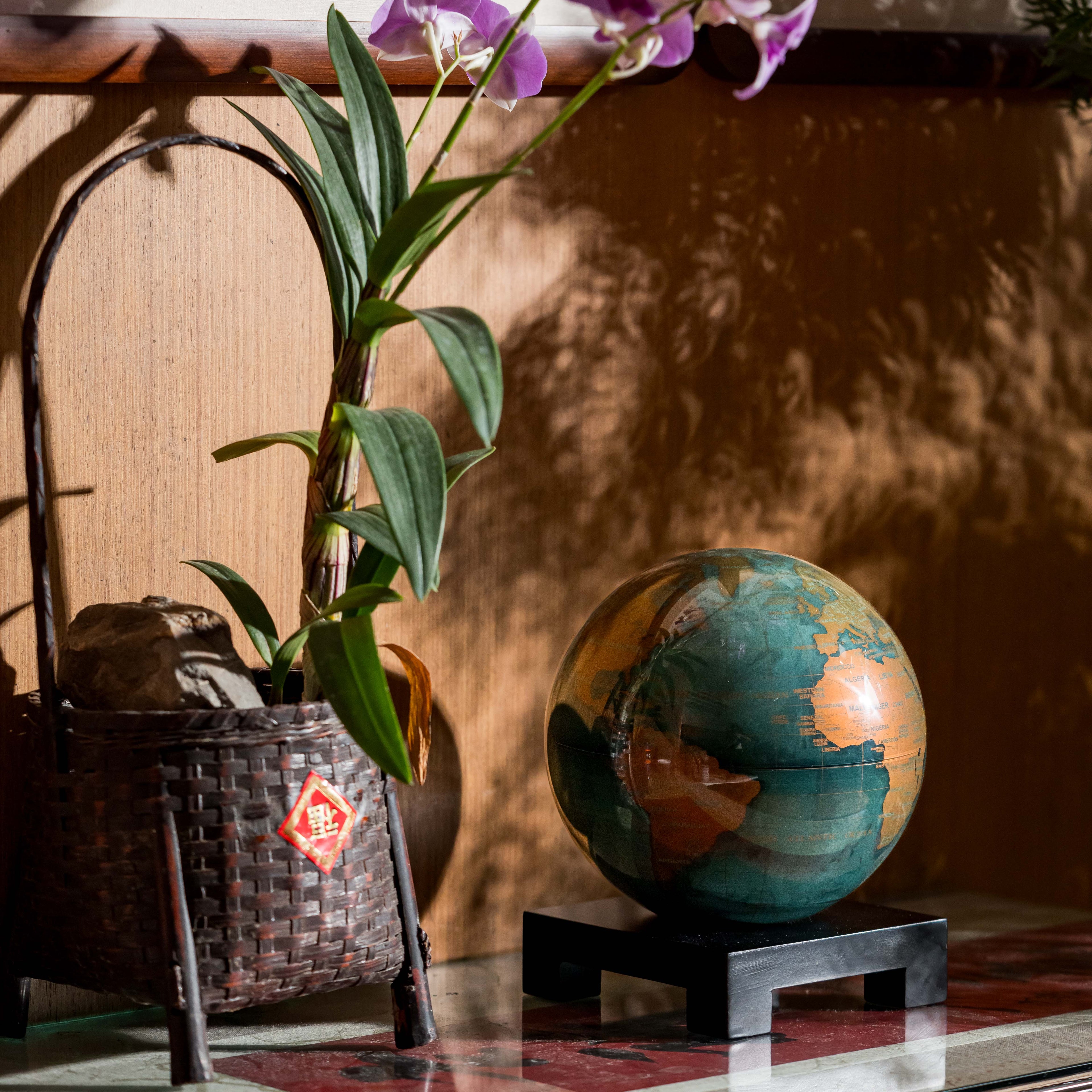Blue and Gold MOVA Globe beside potted plant, stylish decorative globe for living room or office space