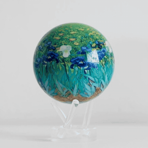 VAN GOGH IRISES GLOBE
