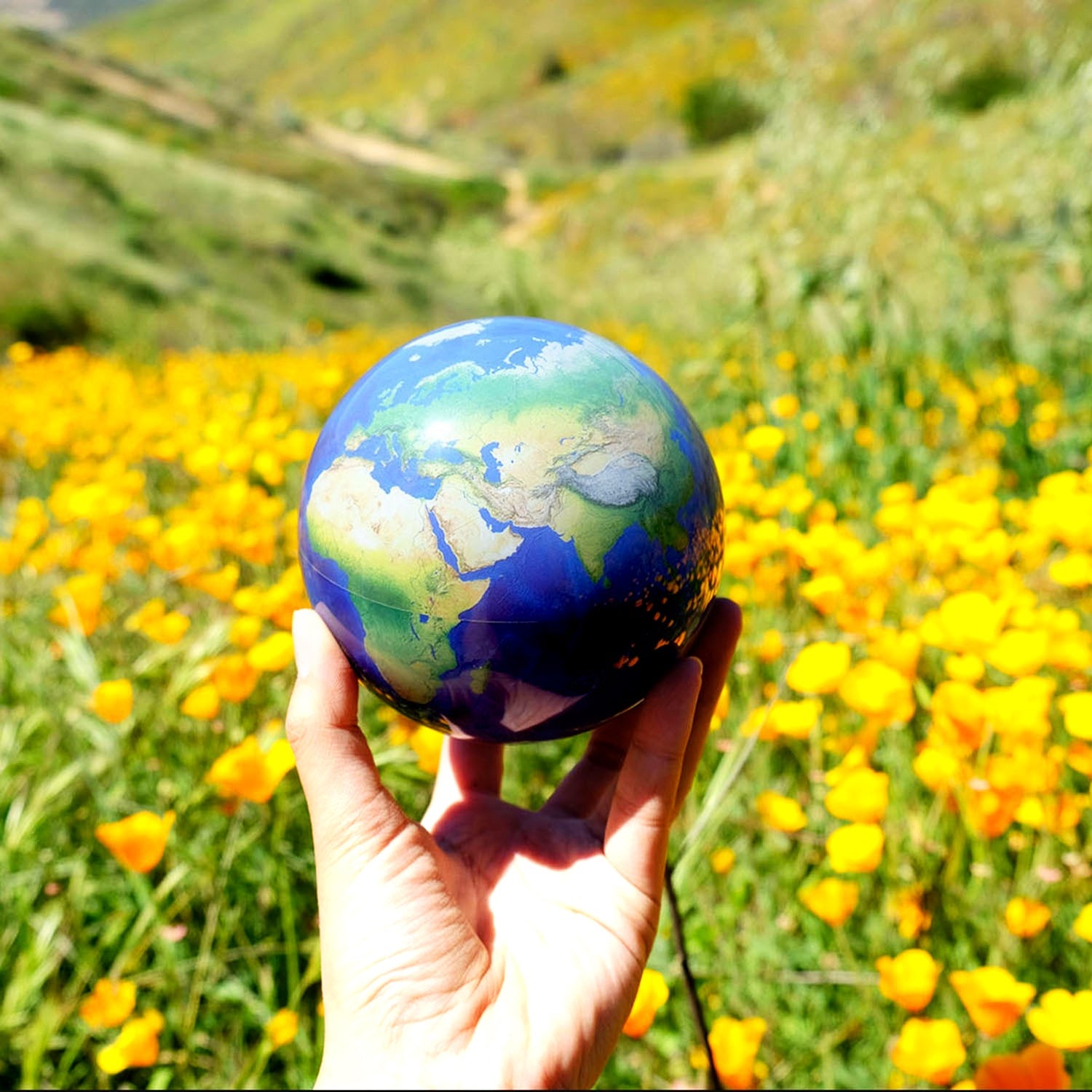 EARTH GLOBE | Turns using ambient light - MOVA UK