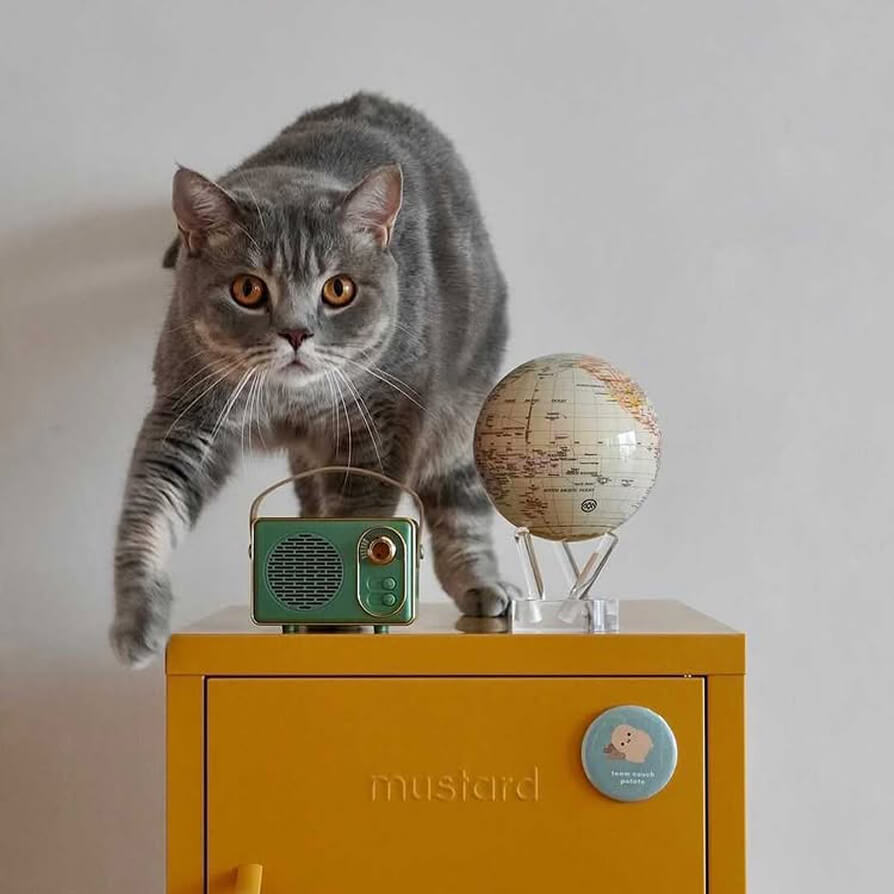 Antique yellow MOVA globe with acrylic base beside a gray cat on a mustard yellow cabinet